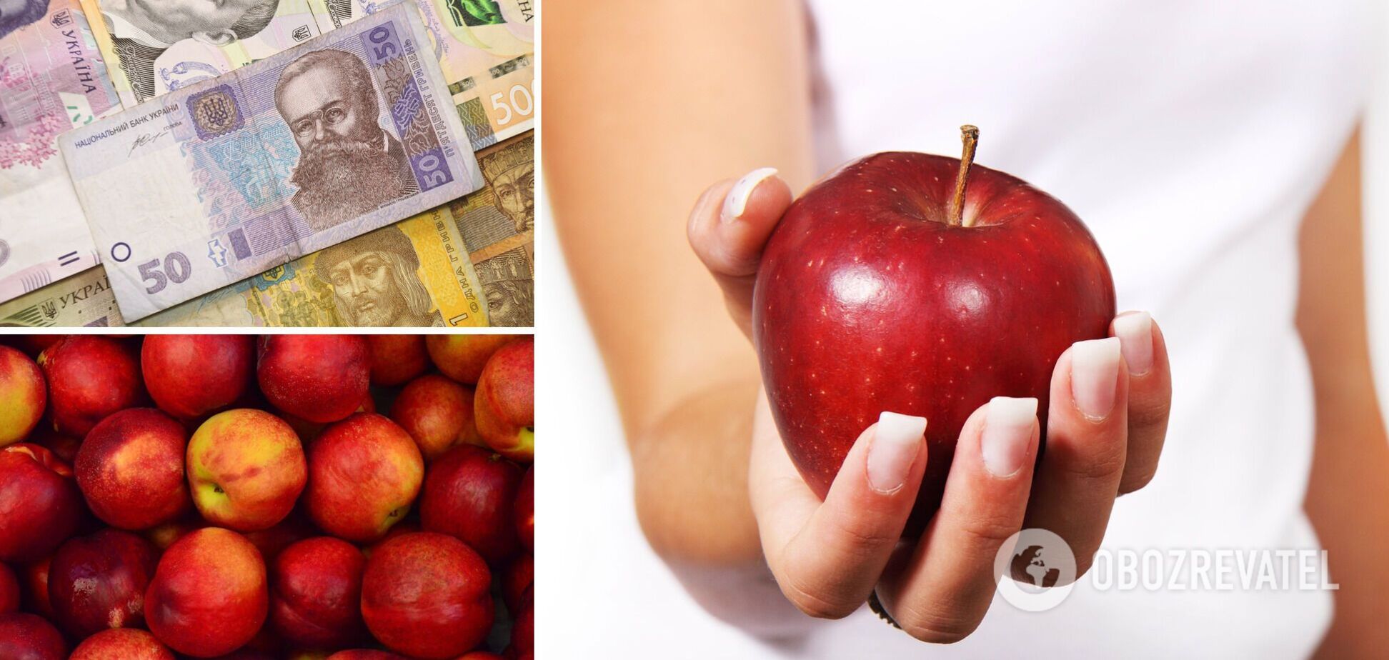 Цены на яблоки в Украине могут вырасти
