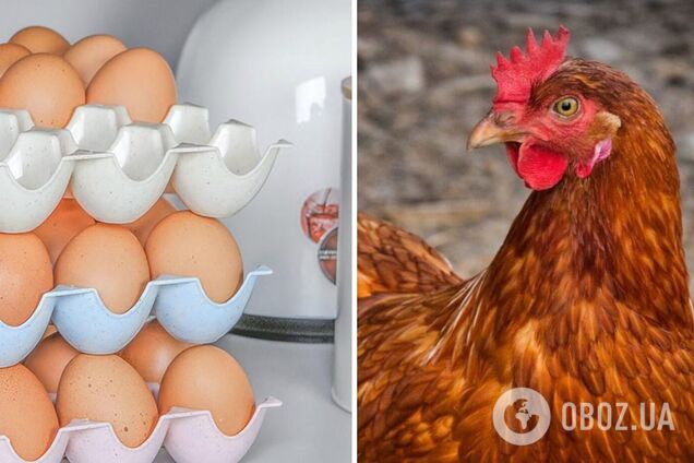 В Україні дорожчають яйця