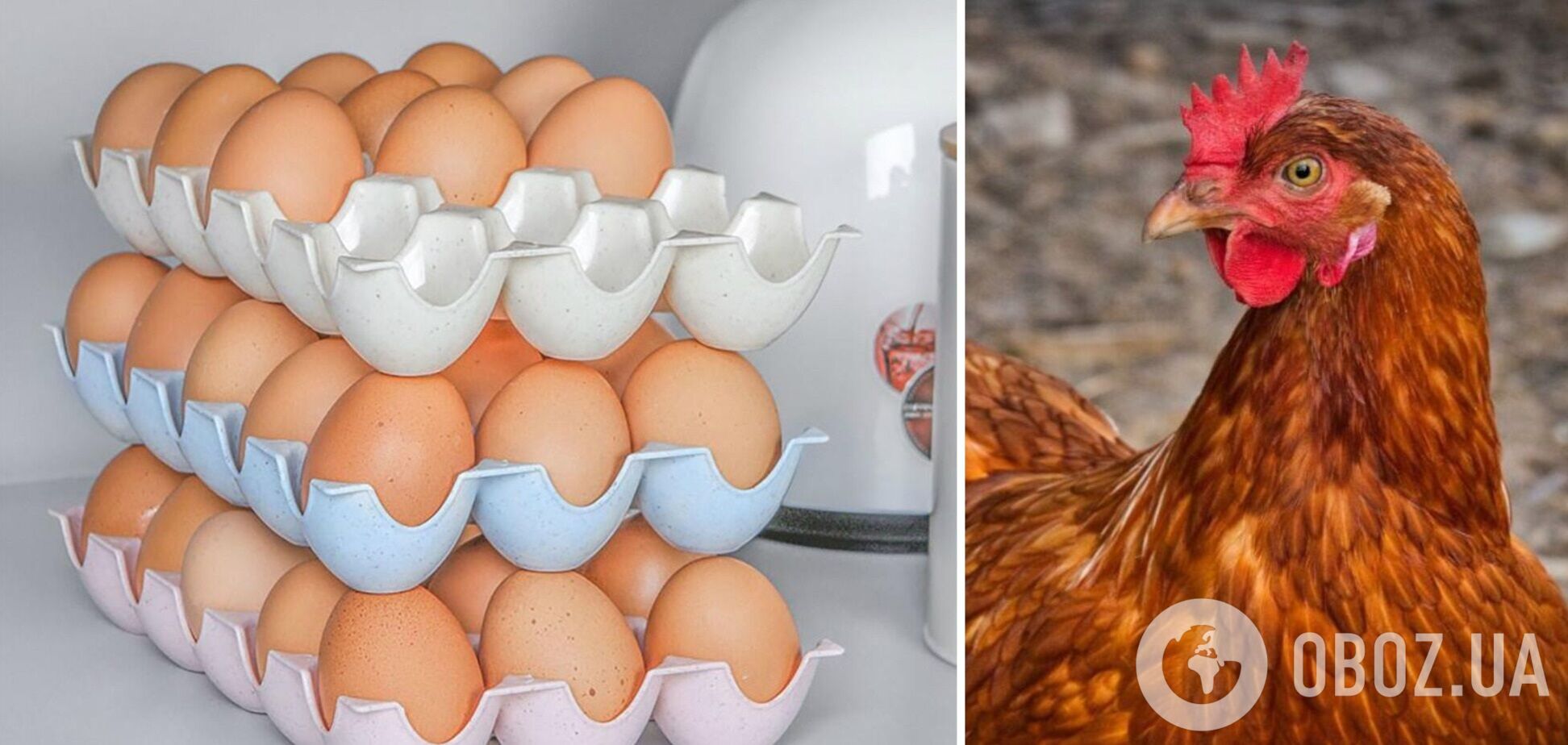 В Україні дорожчають яйця