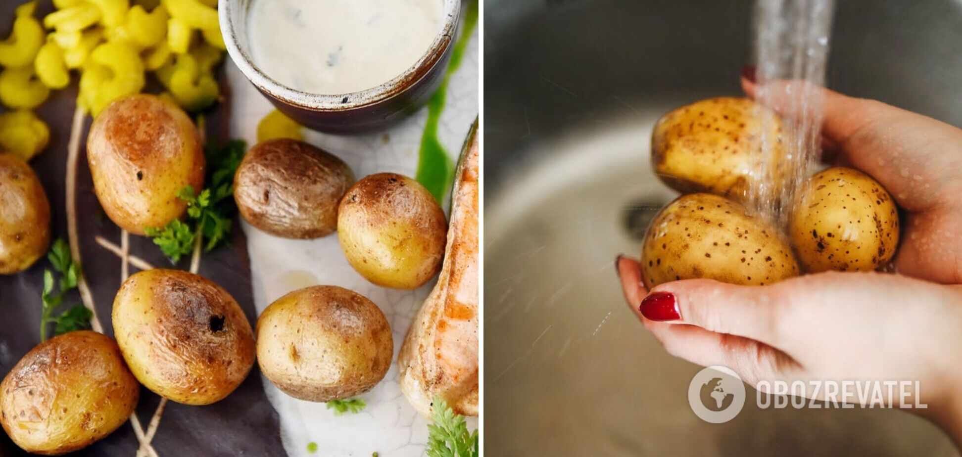 Что приготовить из картофеля, если пюре и драники надоели: блюдо, которое вас удивит