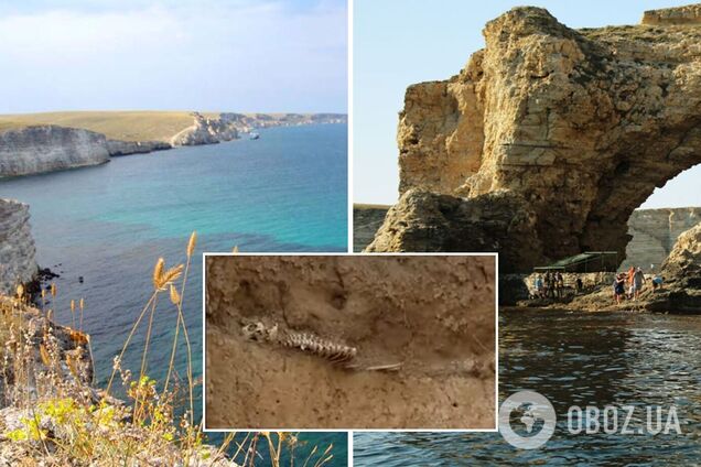 На пляж у Криму вимило людські скелети. Відео