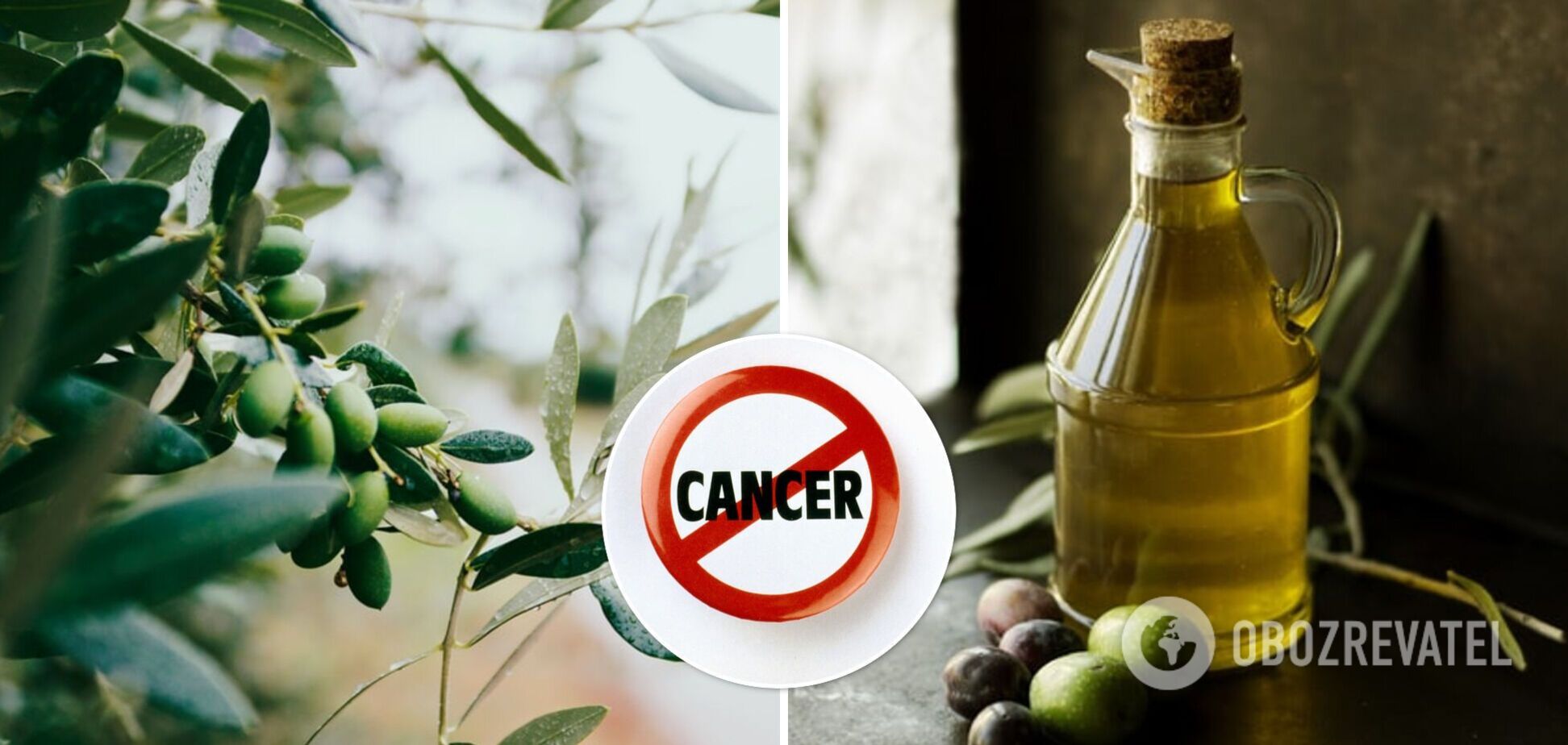 Оливковое масло может уберечь от одного из видов рака: почему и как это работает