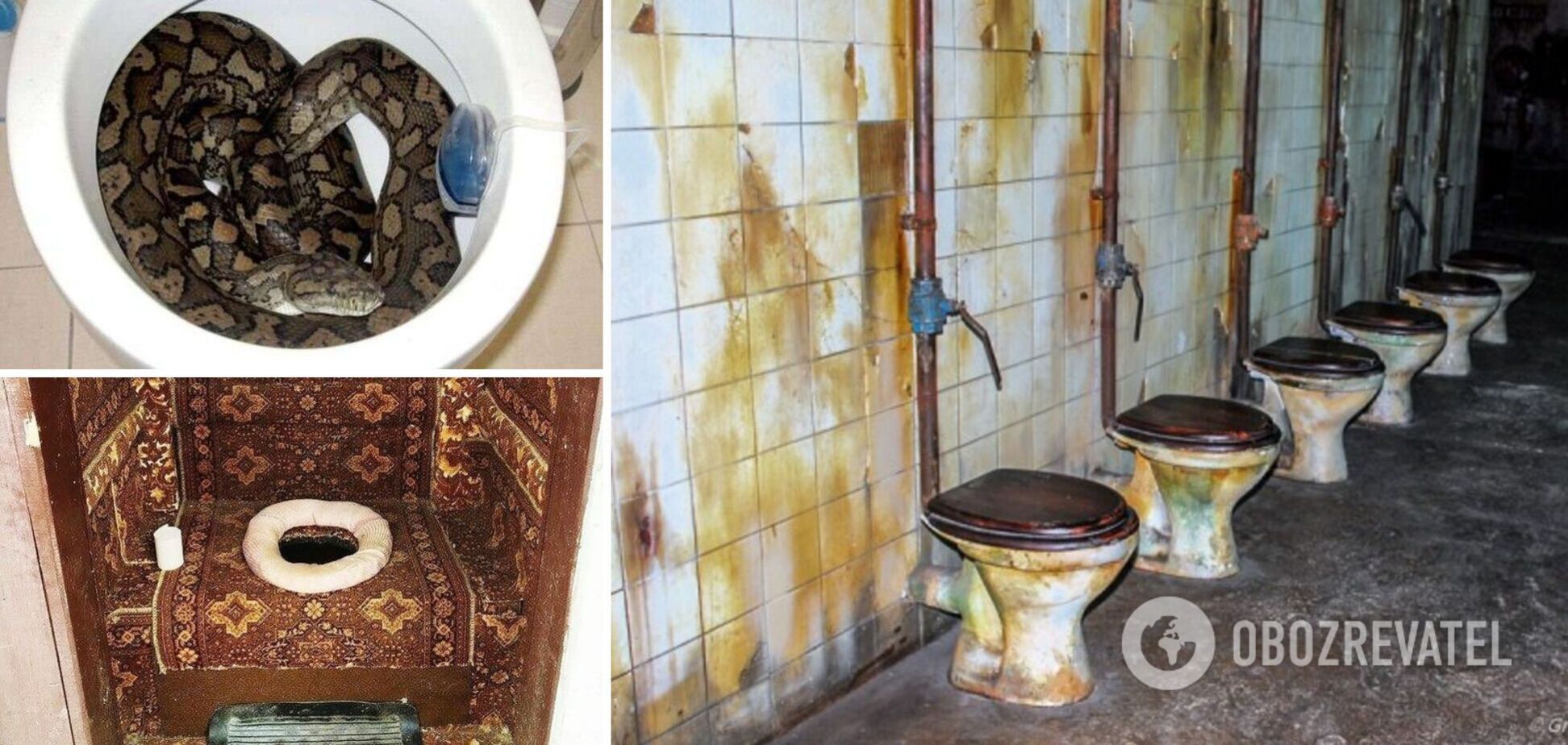 В туалете часто случаются курьезы