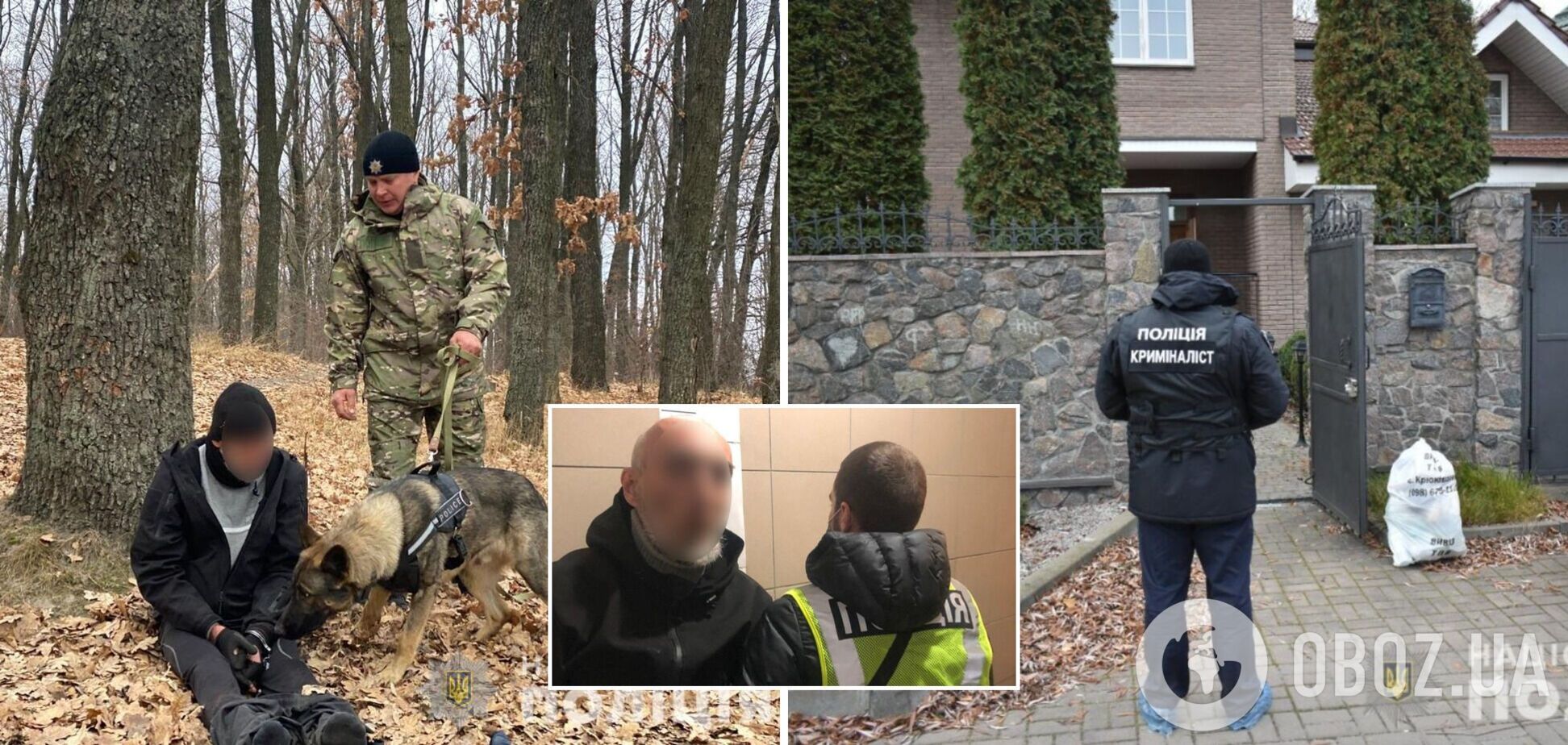 В Киевской области задержали грабителей-иностранцев