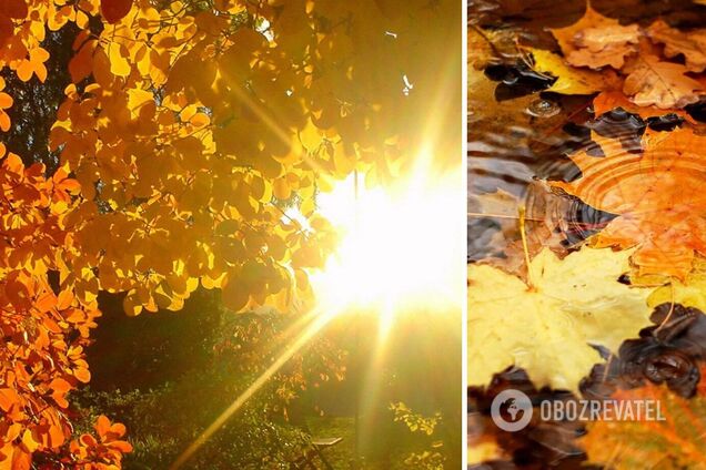 Морозы уйдут из страны