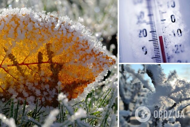 Украину ждут морозы до -30? Ученая пояснила, почему Гидрометцентр неправ
