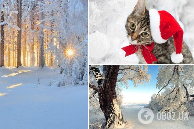 Самым холодным в этом году будет январь, ожидаются морозы до -20 градусов