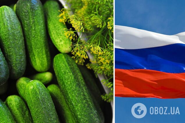 Україна вперше імпортує тепличні огірки із Росії