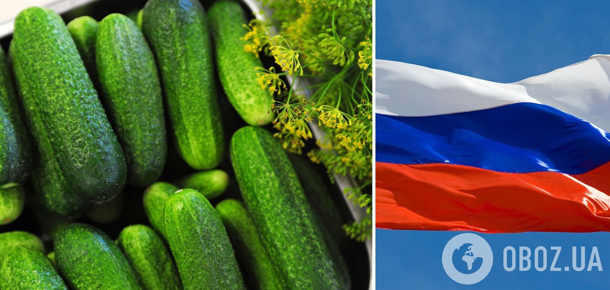 Украина впервые импортирует тепличные огурцы из России