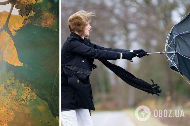 В Украине объявили штормовое предупреждение: где ожидается плохая погода. Карта