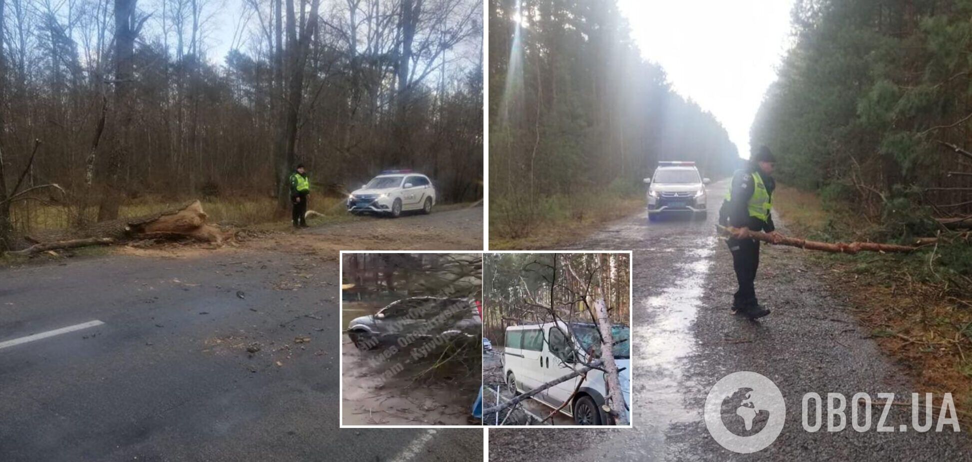 В Україні ураган повалив дерева, залишив без світла села та пошкодив автомобілі. Фото і відео