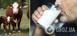 В Україні впало виробництво молока