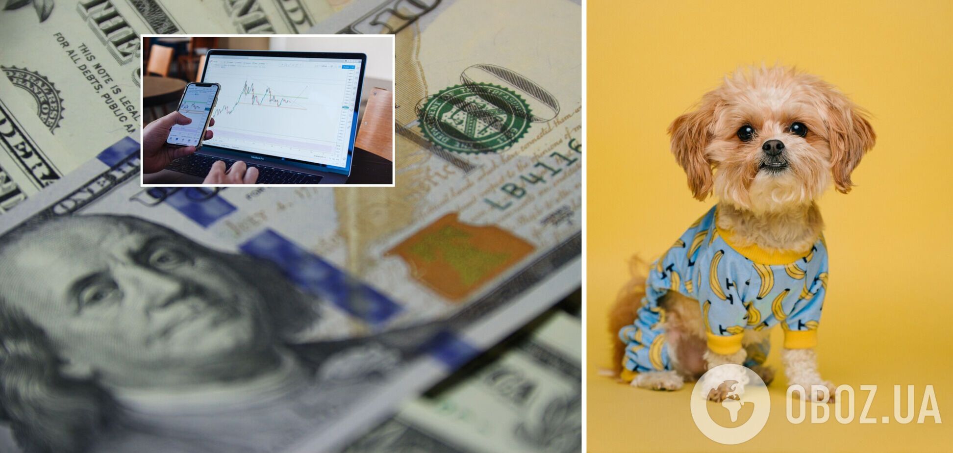 Еще одна 'криптособака' резко подорожала