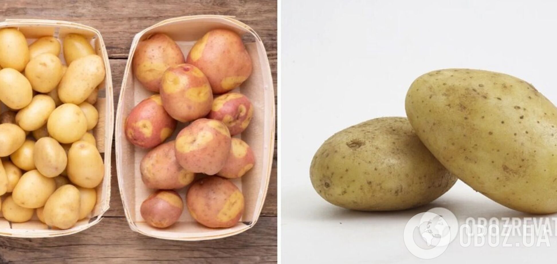 Как приготовить картофель, чтобы он был полезен: эксперт развеяла мифы