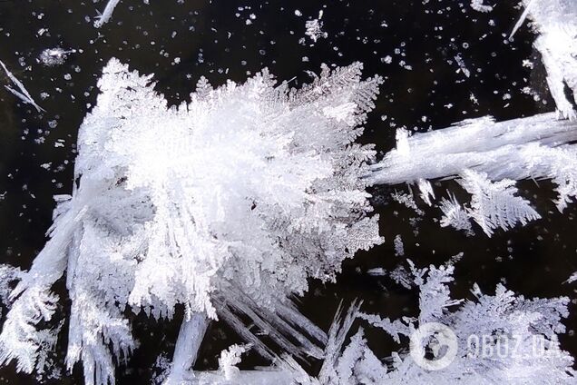 В столице в начале недели ожидается снег