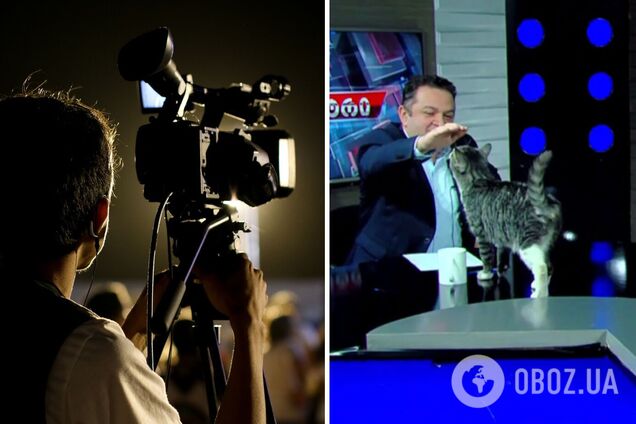 Кот сорвал политическое ток-шоу в Грузии и стал звездой. Видео