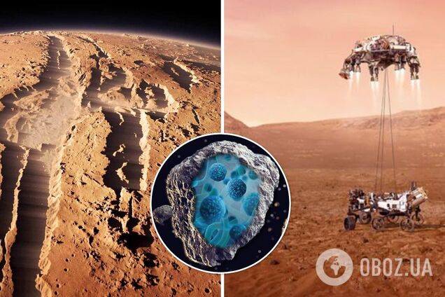 Зарождение жизни на Марсе: правда или нет - как микроорганизмы могли  попасть на Землю - День Марса 2021