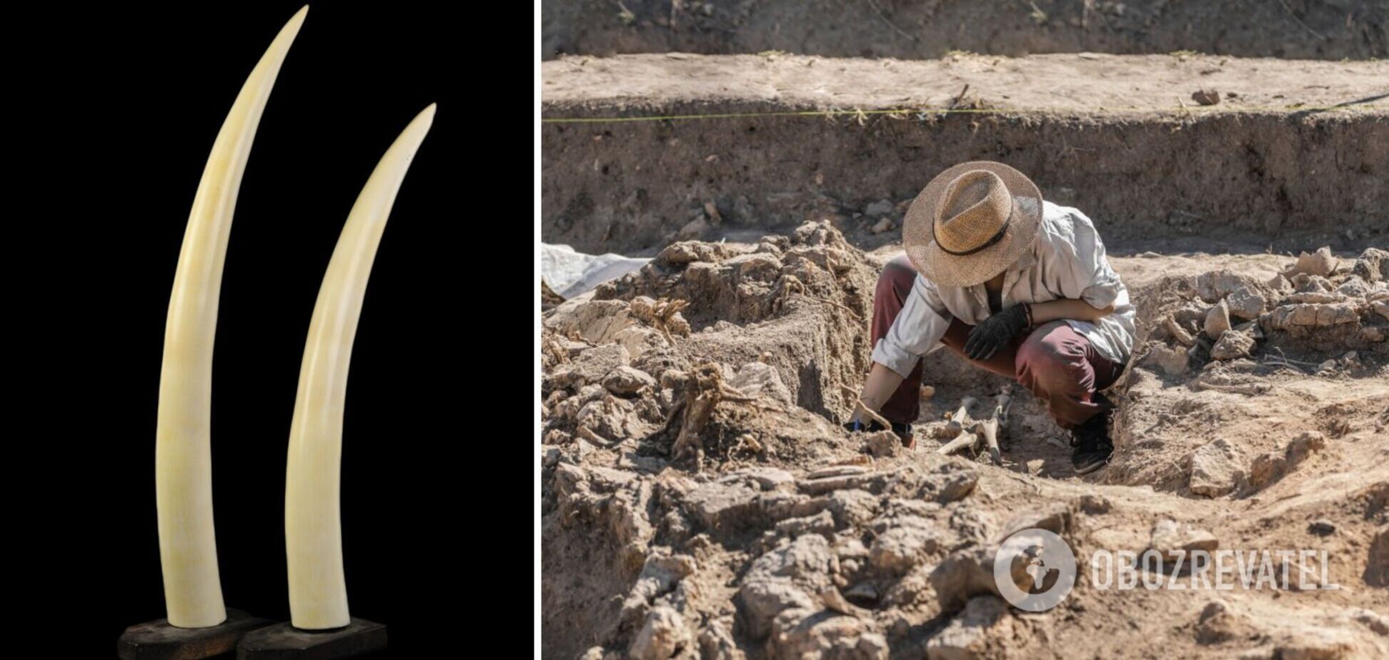 Археологи обнаружили в Китае орудие труда, которому 99 тыс. лет