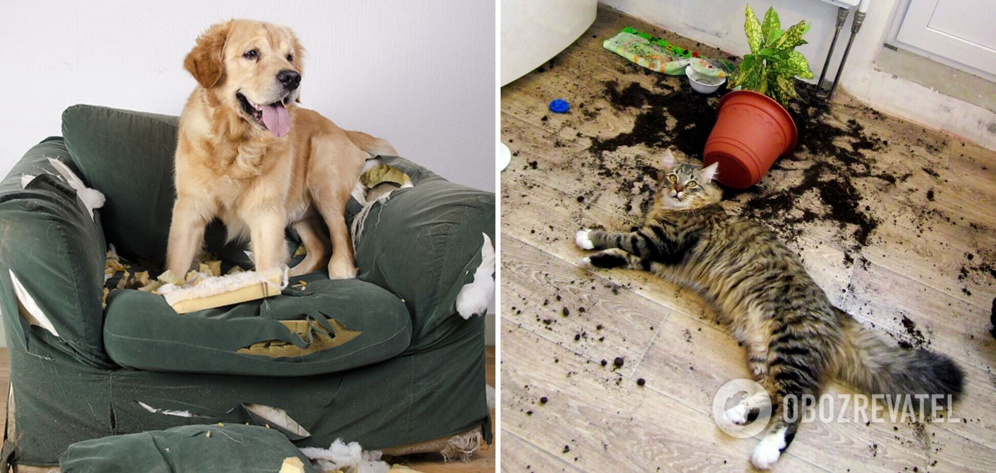 7 побутових халеп, які зіпсують навіть дуже гарний настрій. Фото