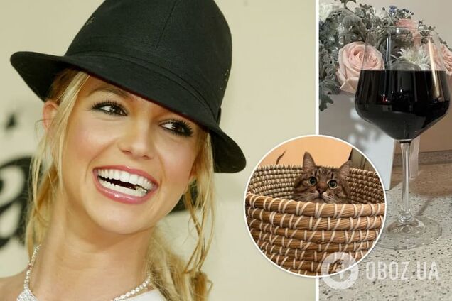 Бритни Спирс разместила в своем Instagram украинского кота Степана. Чем он так популярен