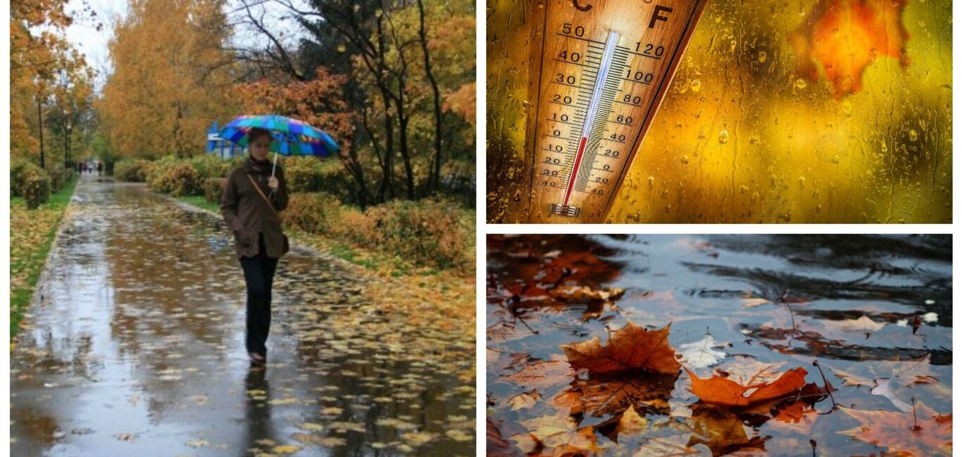 В Украину придет тепло, но с дождями: синоптики дали детальный прогноз на выходные. Карта