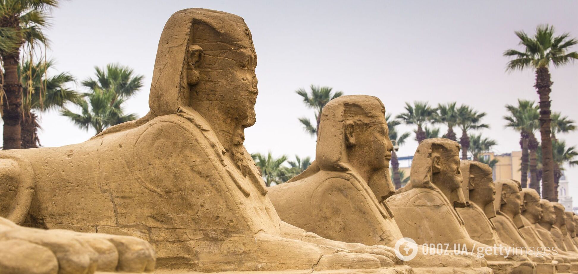У єгипетському Луксорі після реконструкції відкрили давню Алею сфінксів: яскраві кадри