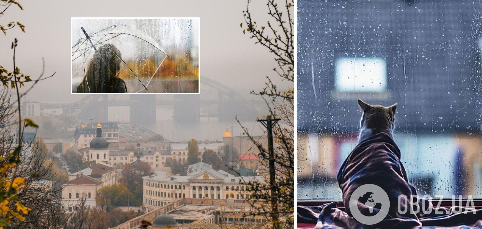 Украину покроют туманы и дожди: синоптики уточнили прогноз погоды на воскресенье