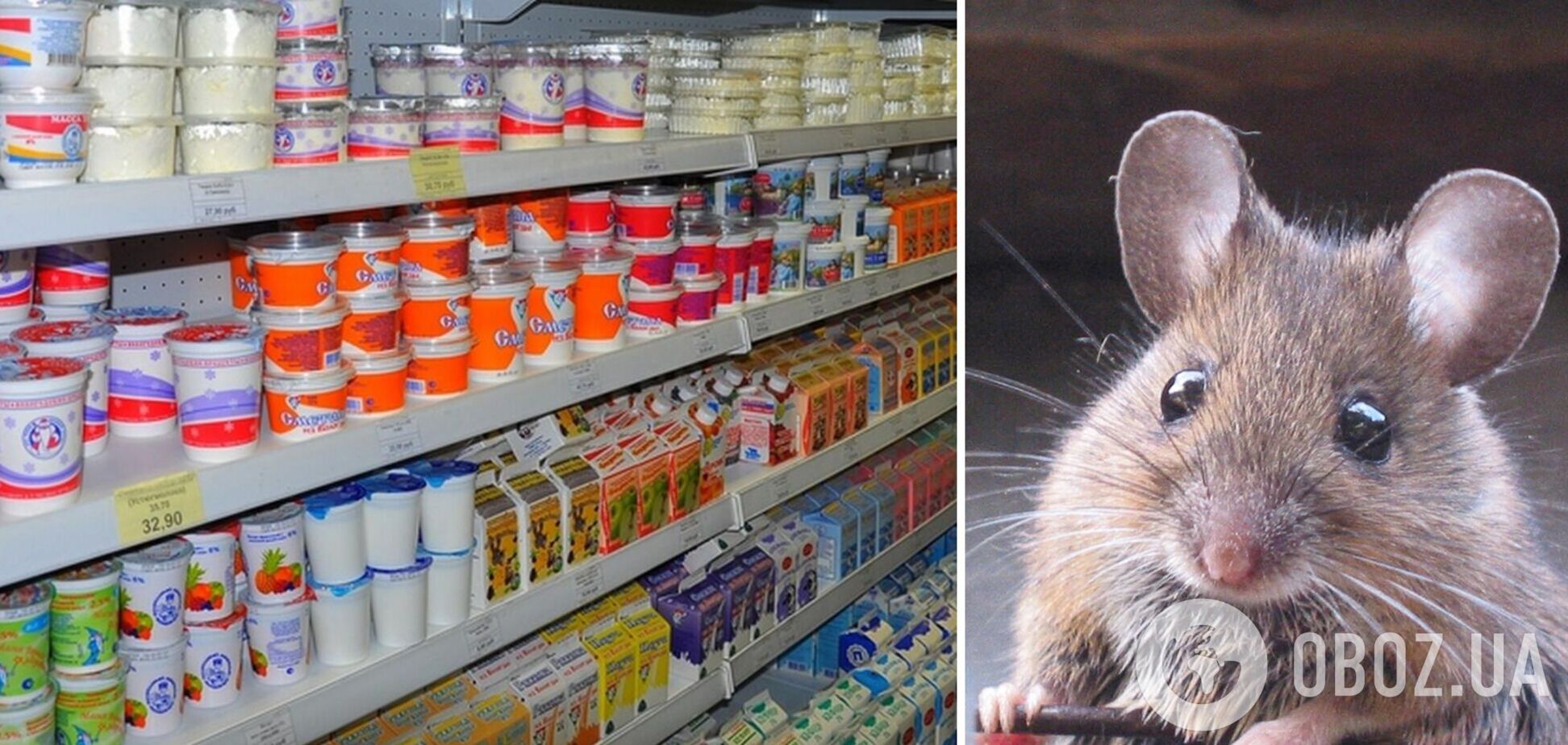 У Запоріжжі в супермаркеті помітили мишу в холодильнику з напівфабрикатами. Відео