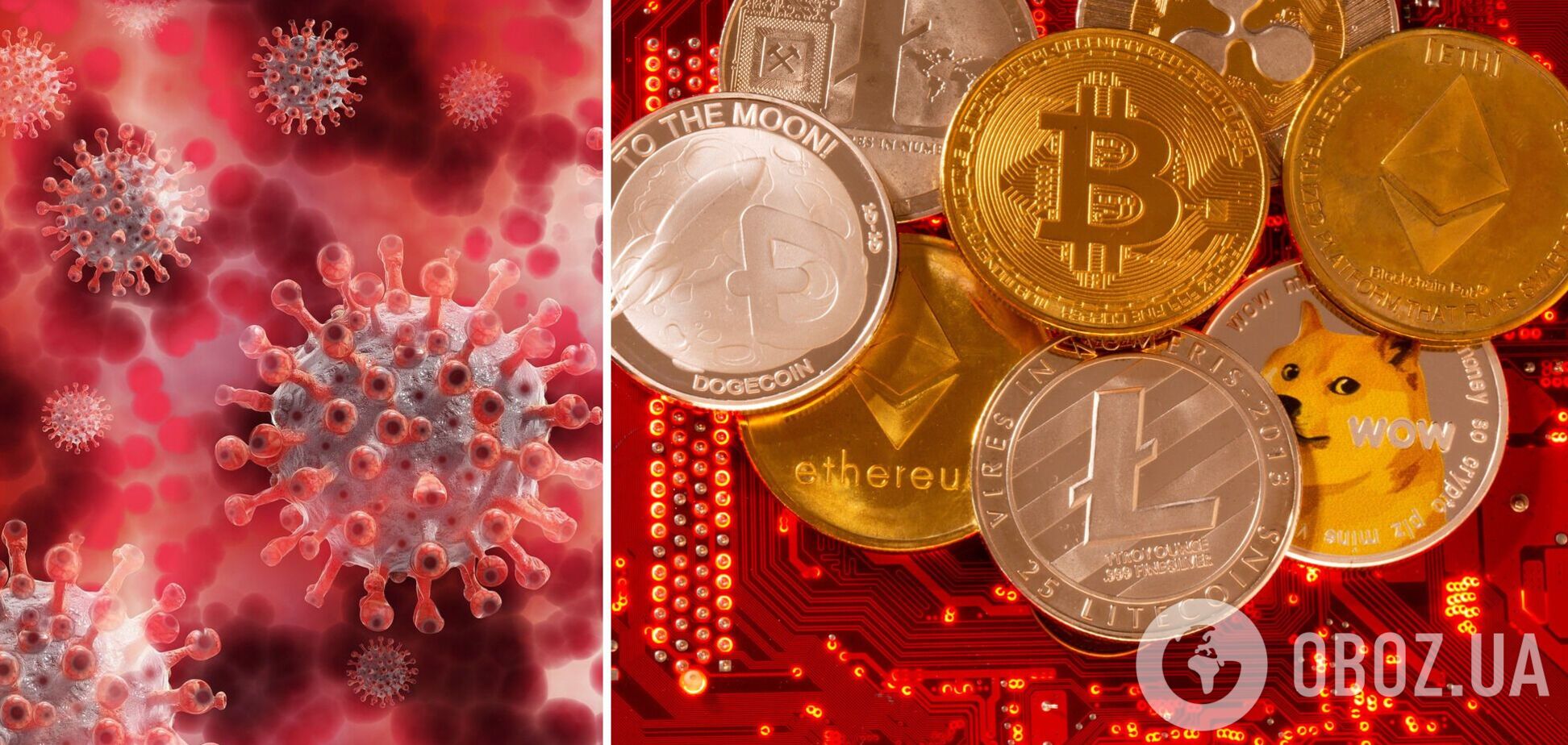 Криптовалюта Omicron подорожчала через коронавірус