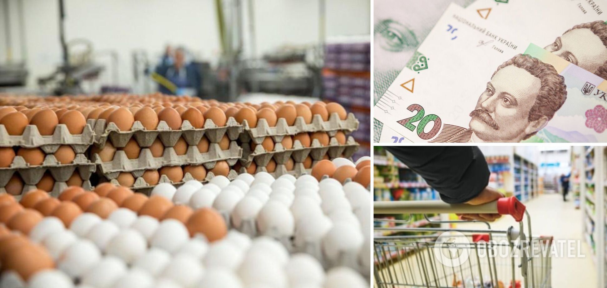 Зростання цін на яйця в Україні може відновитись