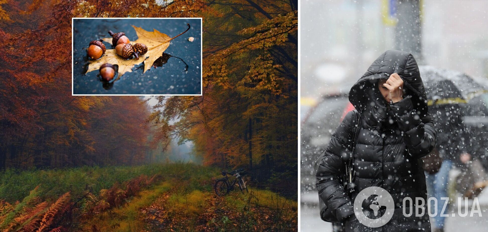 В Украину идет похолодание, есть вероятность снега с дождем: синоптики назвали дату