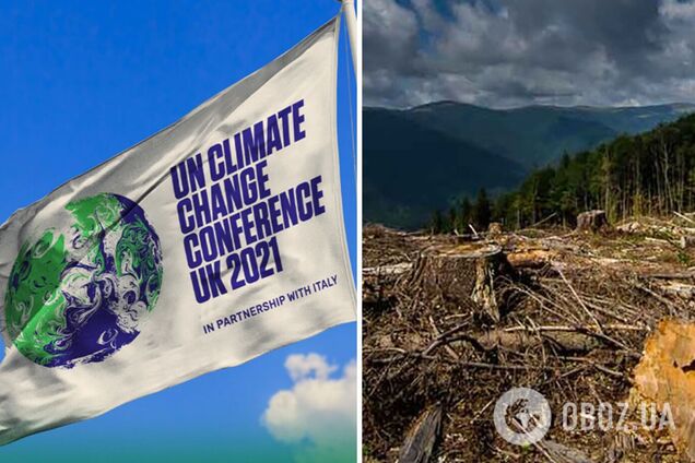 Климатический саммит в Глазго: лидеры более 100 стран мира пообещали прекратить вырубку лесов