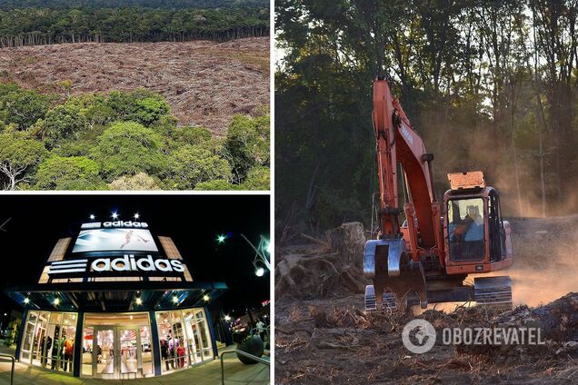 New Balance, Adidas и ряд других компаний связывают с вырубкой лесов на Амазонке