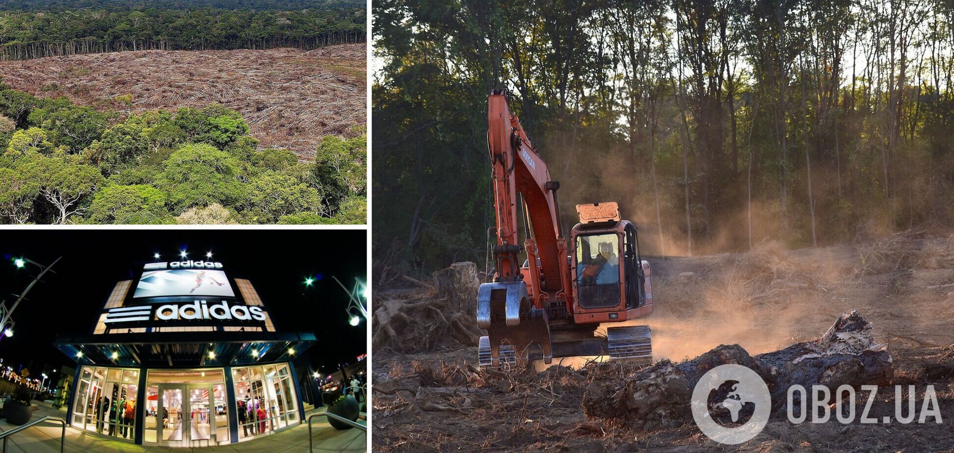 New Balance, Adidas и ряд других компаний связывают с вырубкой лесов на Амазонке