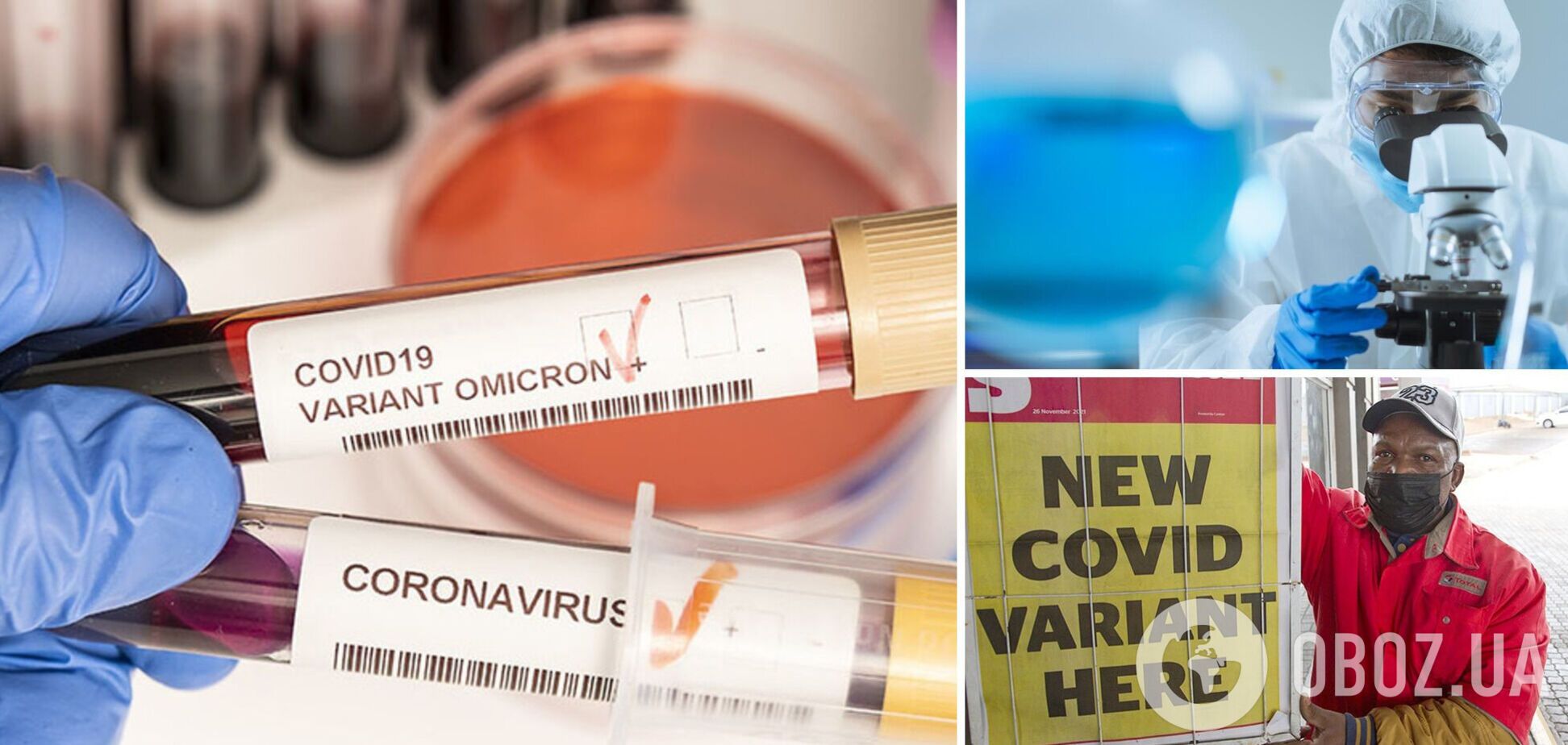 Когда новый штамм коронавируса Омикрон может попасть в Украину: врач дал прогноз
