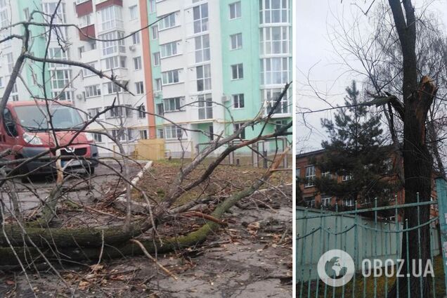 Перехожі дуже злякалися