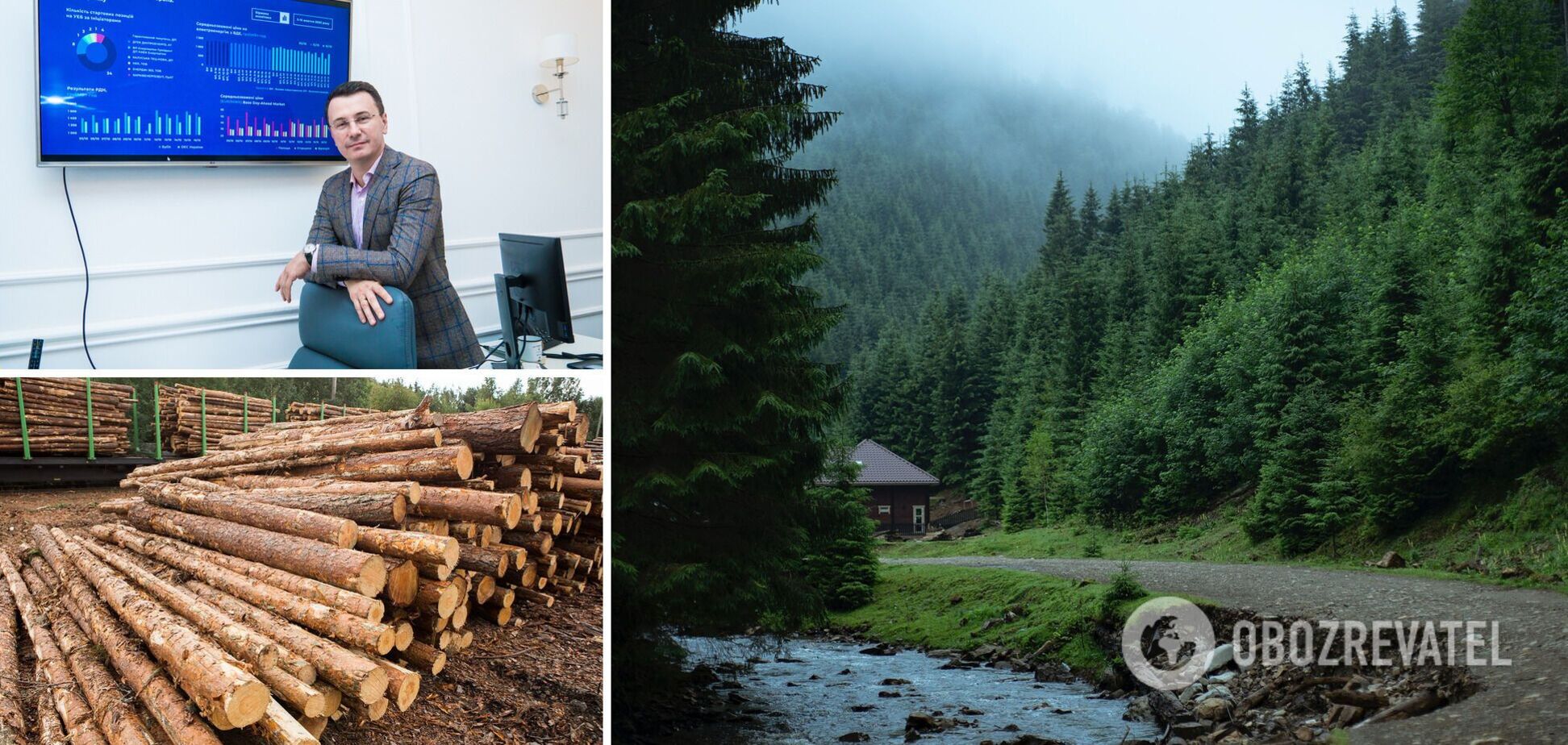 Украинский лес можно продавать только через биржи
