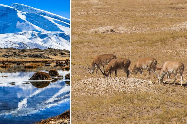 'Врата ада': что известно о самом загадочном месте в Китае. Фото