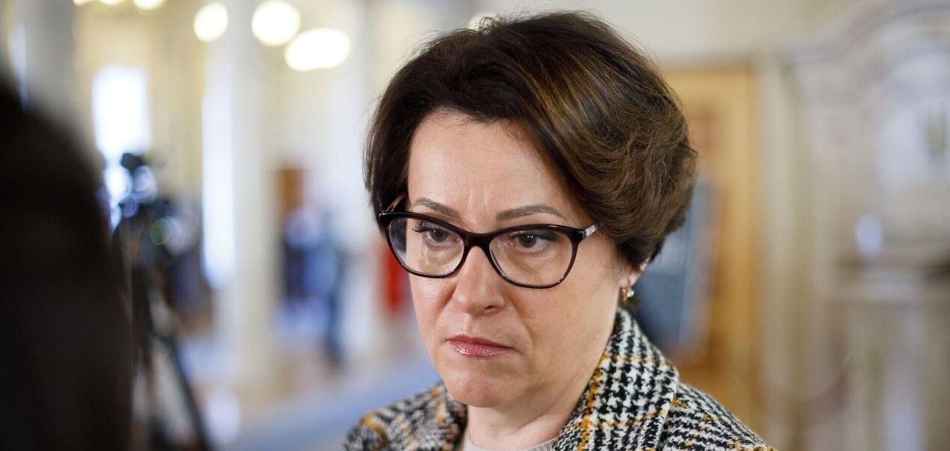 Ті, хто проголосував за податковий закон, на собі відчують тиск фіскальних органів – Южаніна