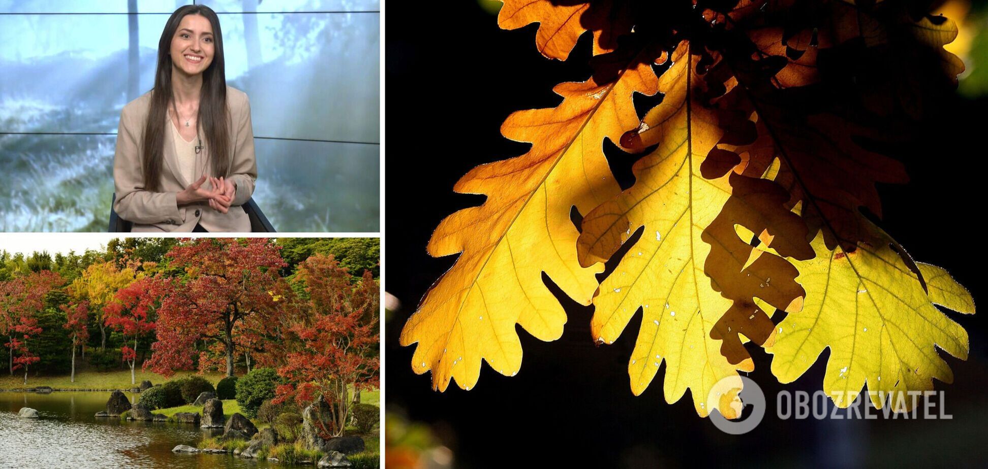 5 листопада – останній теплий день цієї осені