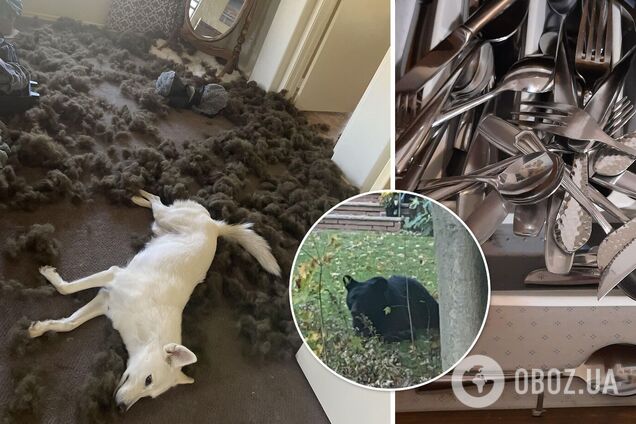 Топ-провалов пользователей сети