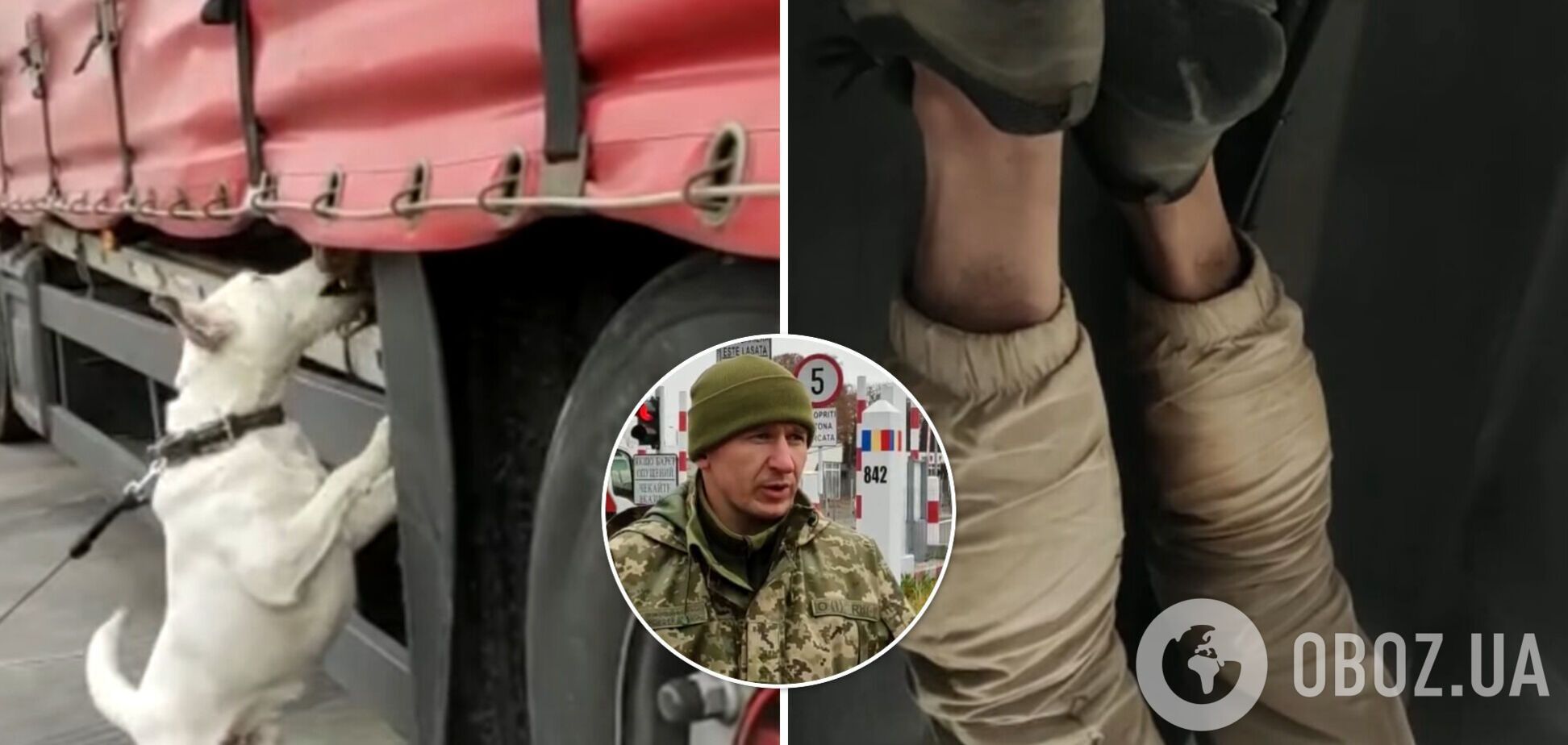 В Украину на запасном колесе грузовика въехал 18-летний афганец: его нашел пограничный пес. Видео