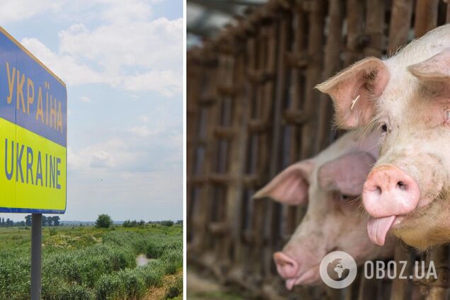 До України ввозять дедалі більше свинини з Європи