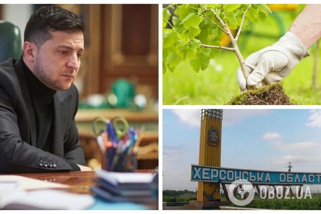 Указ Зеленского о высадке 1 млрд деревьев выполнили на 3,5%: в каких регионах ситуация хуже всего