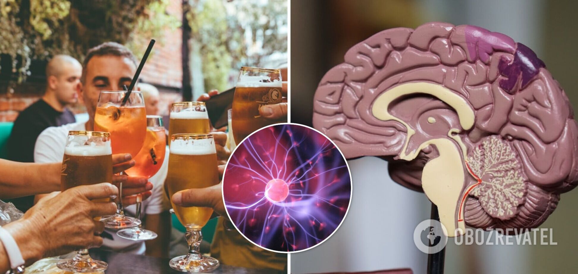 Вчені розповіли, як вживання алкоголю може впливати на роботу мозку