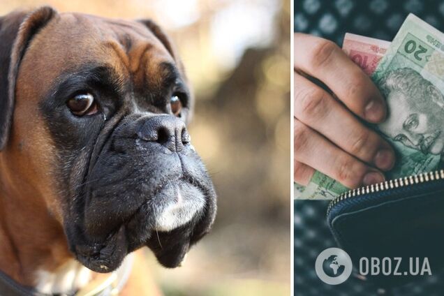 В Украине усилили наказание за выгул собак без намордников