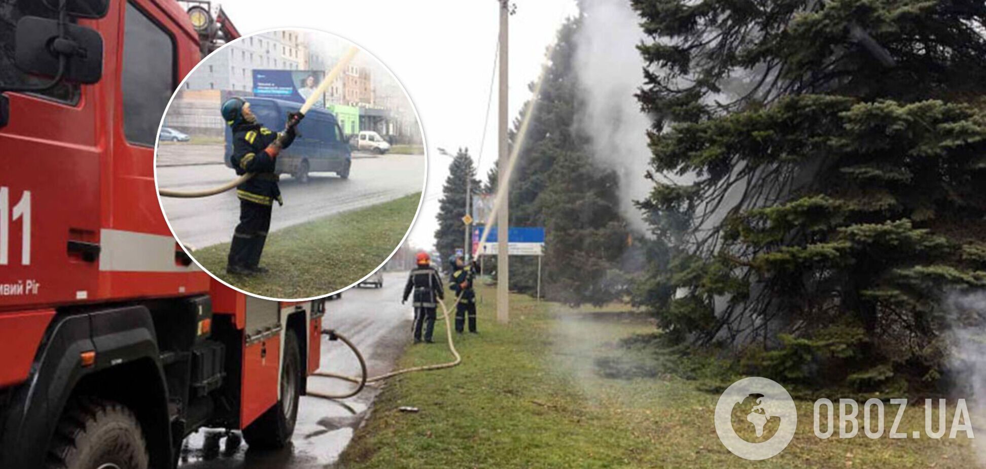 В Кривом Роге загорелась елка, очевидцы говорят о поджоге. Фото и видео