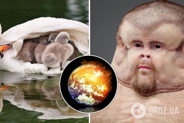 Адаптируйся или умри: изменение климата может ускорить эволюцию человека