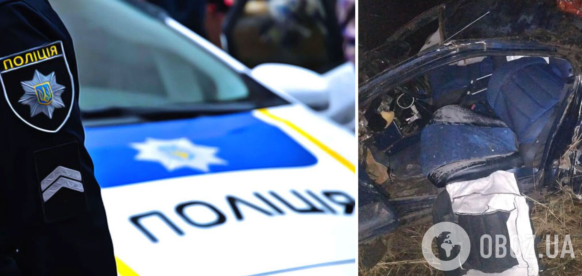 На Одесщине авто на скорости влетело в дерево, водитель погиб на месте. Фото