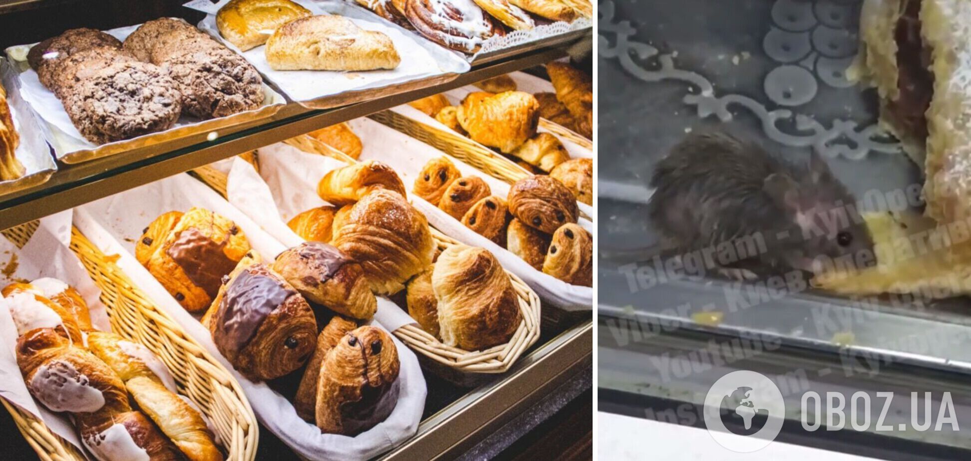 Мышь ела штрудель на витрине кафе